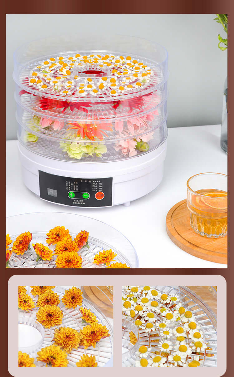 Electric food dehydrator drying assorted flowers for tea or culinary use on kitchen counter