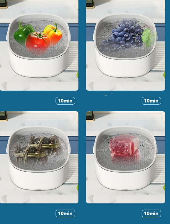Multipurpose kitchen sterilizer washing vegetables, fruits, seafood, and meat in water