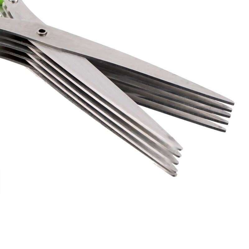 Stainless steel herb scissors with five sharp blades for kitchen use