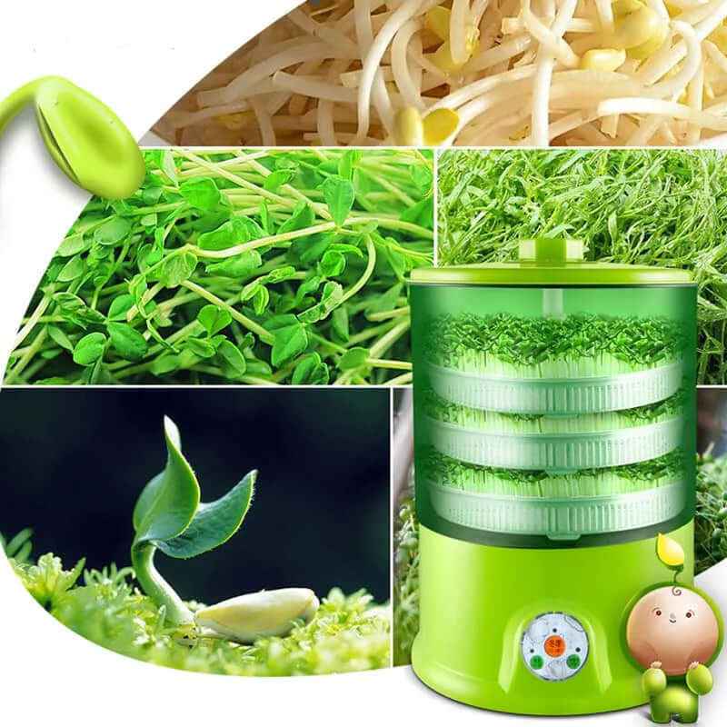 Electric seed sprouter machine with fresh sprouts, bean sprouts, and green seedlings.