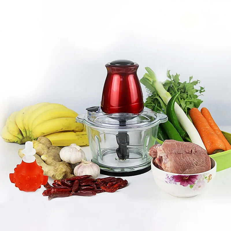 Electric food chopper with glass bowl surrounded by fresh vegetables, meat, and spices.