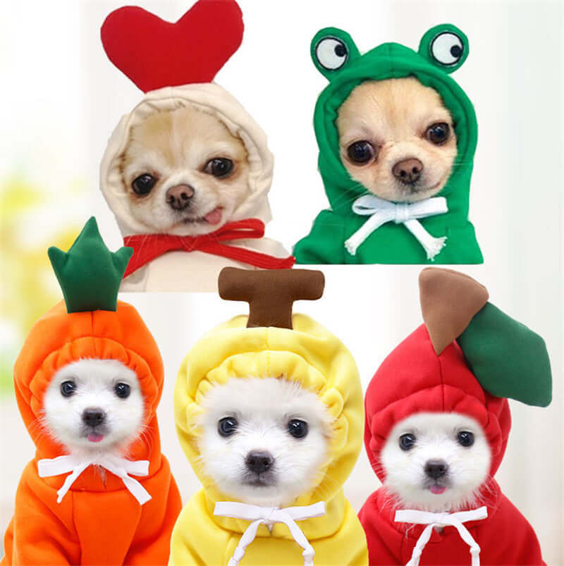 Small dogs in cute animal and fruit costumes, including frog, pineapple, apple, and carrot outfits