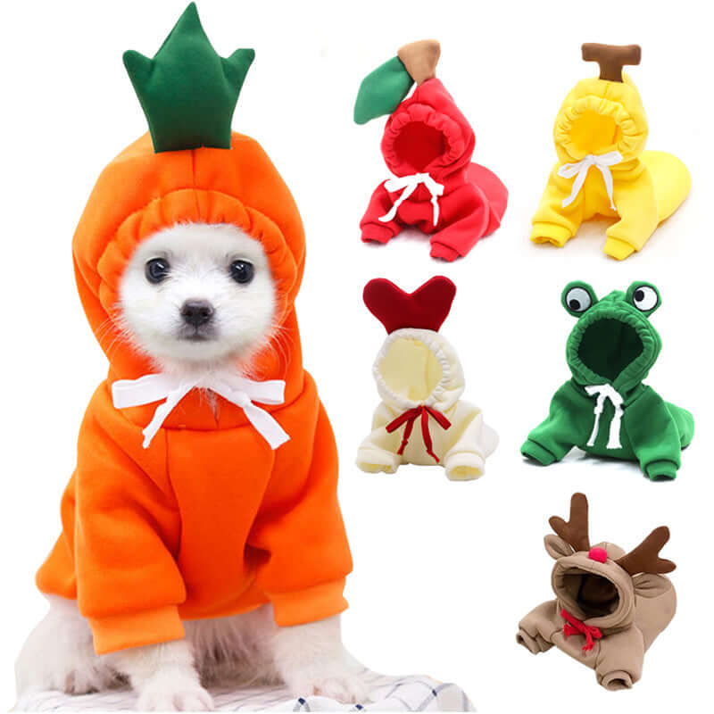 Small dog in orange hoodie costume with assorted colorful animal and fruit hoodies