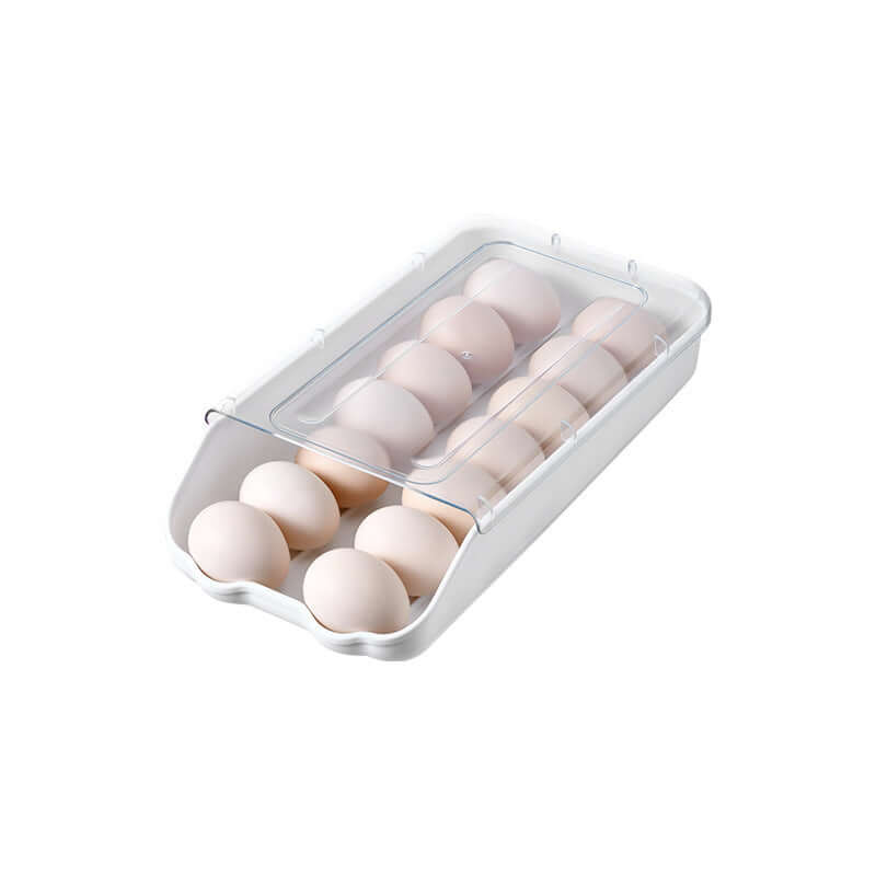 Plastic egg storage container with lid, holding eggs, kitchen organization accessory