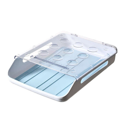 Plastic kitchen egg storage container with clear lid and blue tray, countertop organizer