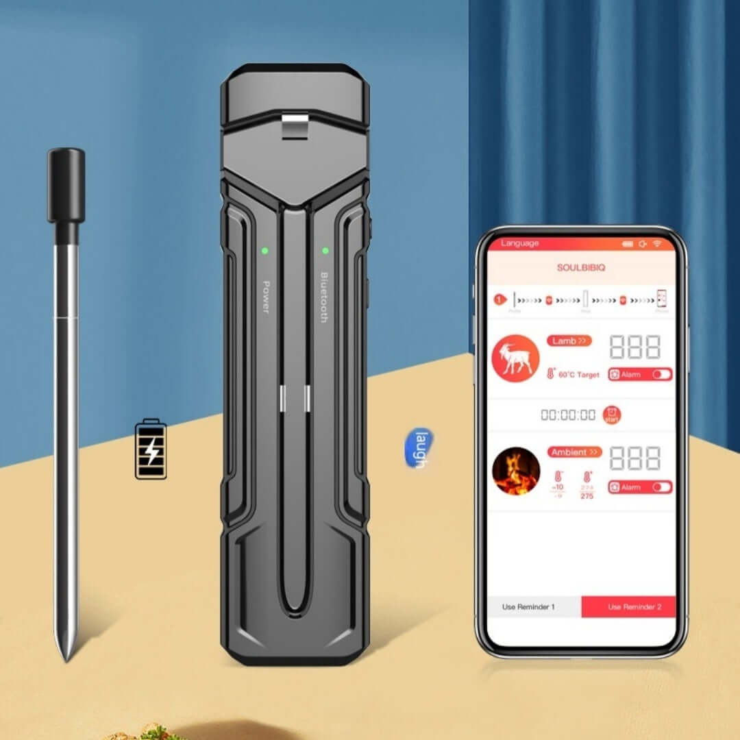 Smart wireless meat thermometer set with app and charging case for kitchen cooking