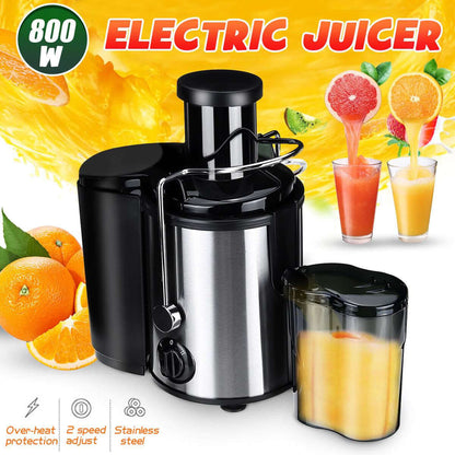 800W electric juicer with stainless steel body, adjustable speed, and juice container, surrounded by fresh fruit.