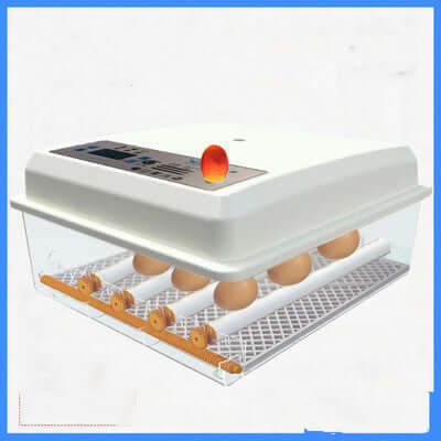 Automatic egg incubator with digital display and eggs inside, kitchen appliance.