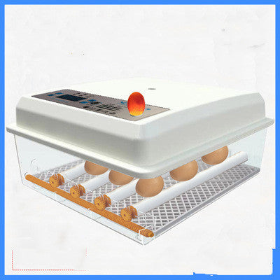 Small Household Smart Mini Egg Incubator Egg Incubator