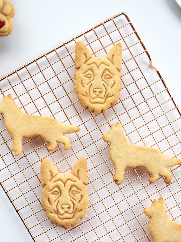Cookie Model Baking Cookie Mold