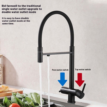 Modern black kitchen faucet with dual water outlets for pure and tap water, labeled switches.