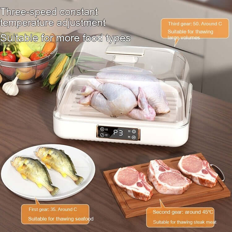 Electric food defroster with digital display thawing whole chicken, fish, and steak on kitchen counter.