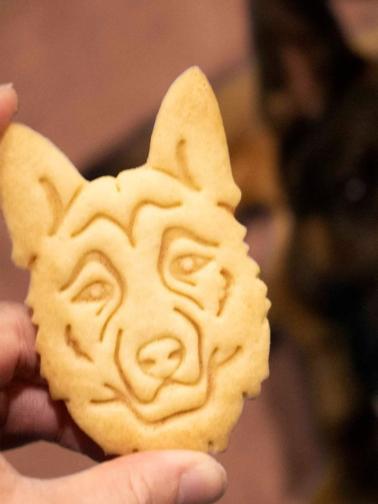 Cookie Model Baking Cookie Mold