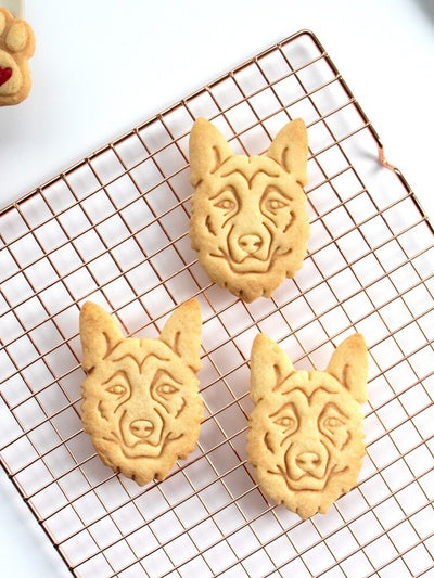 Cookie Model Baking Cookie Mold