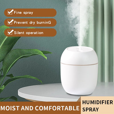 Mini USB Humidifier For Household Use To Increase Air Humidity And Alleviate Skin Dryness with Nightlight